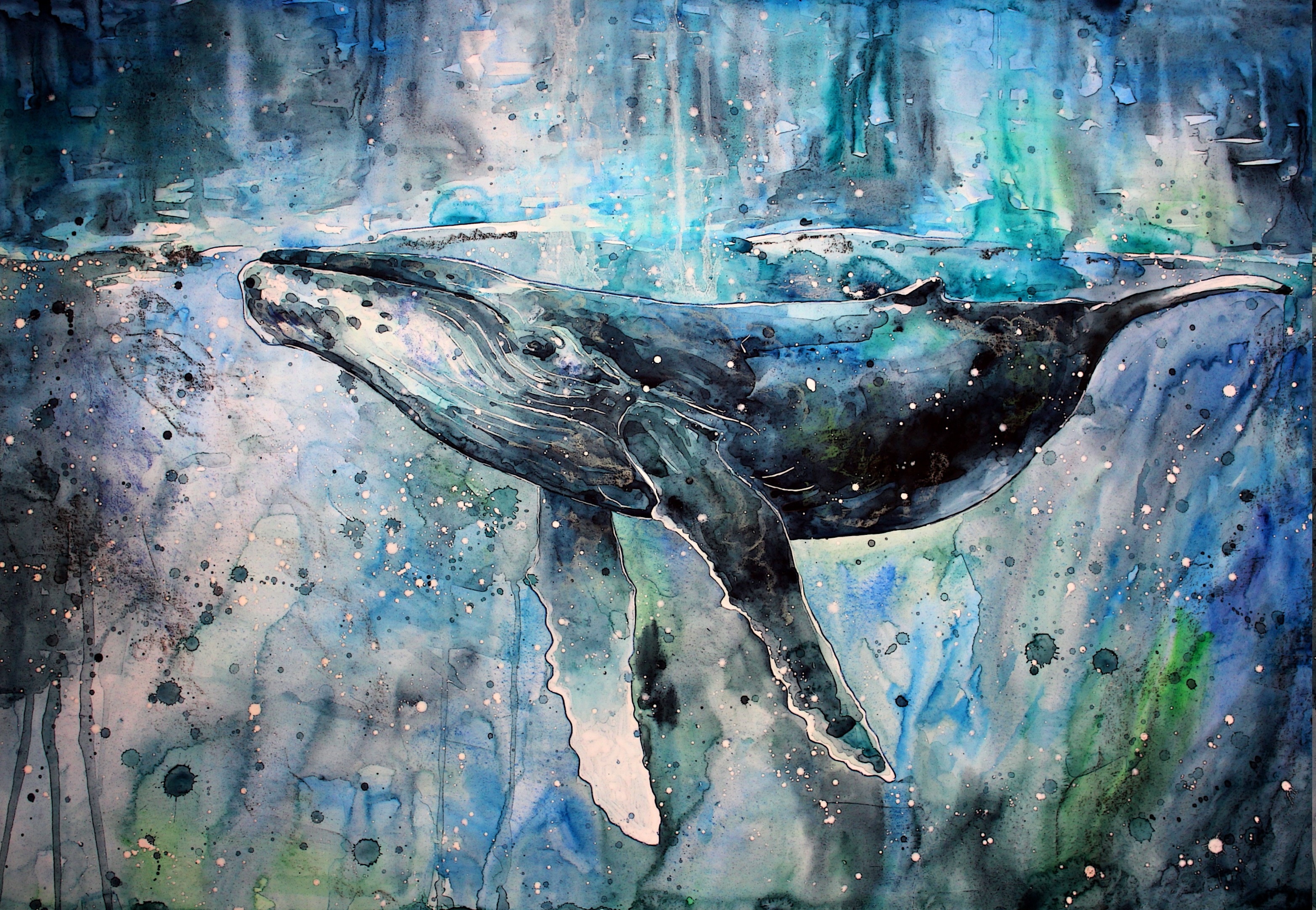 Eleonora Ceccarelli Psicologa - Blue Whale